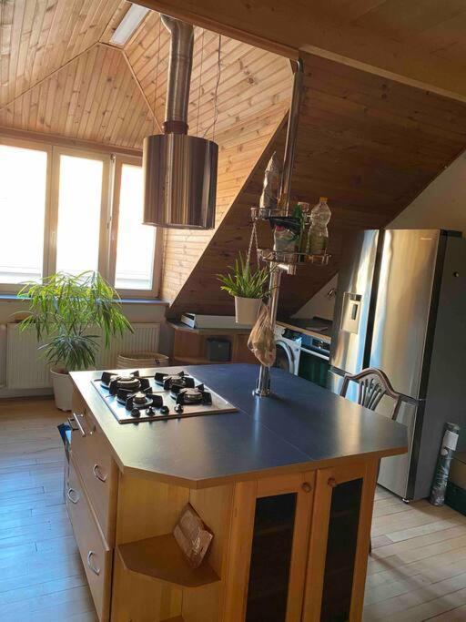 Rooftop 180M2 Loft With Private Sauna, Pozsony Kültér fotó