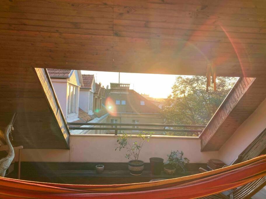 Rooftop 180M2 Loft With Private Sauna, Pozsony Kültér fotó