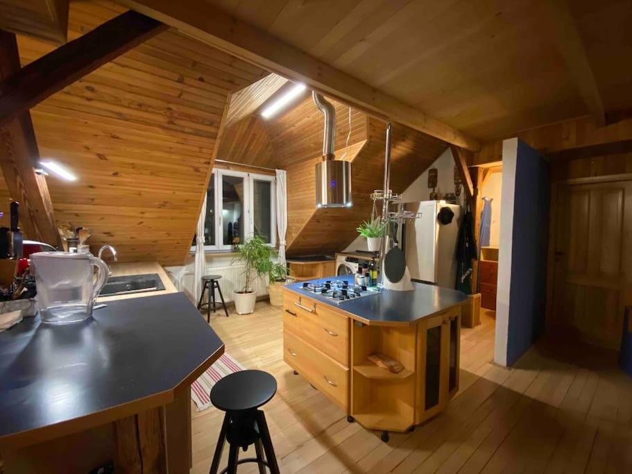 Rooftop 180M2 Loft With Private Sauna, Pozsony Kültér fotó