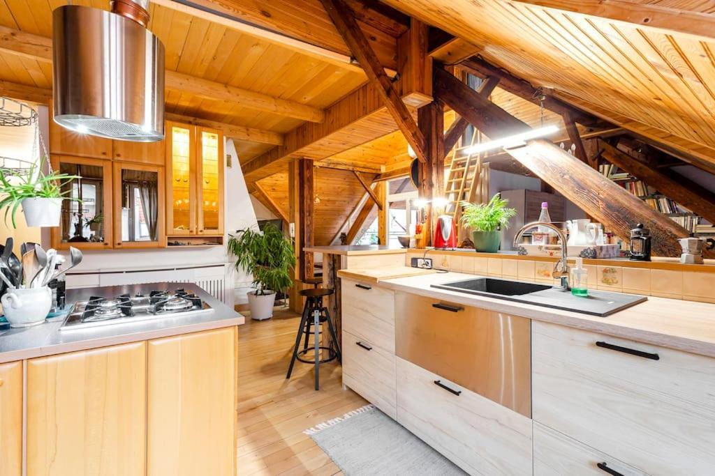 Rooftop 180M2 Loft With Private Sauna, Pozsony Kültér fotó